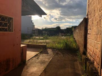 Alugar Comercial / Sal&atilde;o em Bady Bassitt R$ 10.000,00 - Foto 3