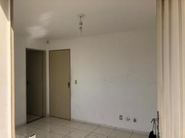 Alugar Comercial / Sal&atilde;o em Bady Bassitt R$ 10.000,00 - Foto 12