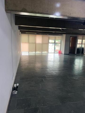 Comprar Comercial / Sala em S&atilde;o Jos&eacute; do Rio Preto R$ 550.000,00 - Foto 11