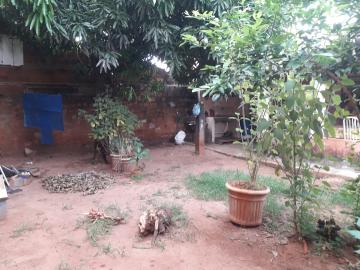 Comprar Casa / Padr&atilde;o em S&atilde;o Jos&eacute; do Rio Preto R$ 170.000,00 - Foto 12