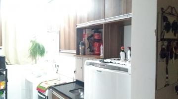 Alugar Apartamento / Padr&atilde;o em S&atilde;o Jos&eacute; do Rio Preto R$ 1.200,00 - Foto 2