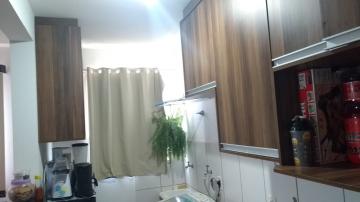 Alugar Apartamento / Padr&atilde;o em S&atilde;o Jos&eacute; do Rio Preto. apenas R$ 1.200,00