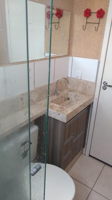 Alugar Apartamento / Padr&atilde;o em S&atilde;o Jos&eacute; do Rio Preto R$ 1.200,00 - Foto 15