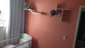 Alugar Apartamento / Padr&atilde;o em S&atilde;o Jos&eacute; do Rio Preto R$ 1.200,00 - Foto 9