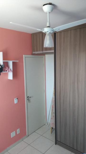 Alugar Apartamento / Padr&atilde;o em S&atilde;o Jos&eacute; do Rio Preto R$ 1.200,00 - Foto 10