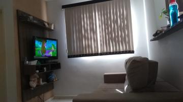 Alugar Apartamento / Padr&atilde;o em S&atilde;o Jos&eacute; do Rio Preto R$ 1.200,00 - Foto 3