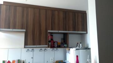 Alugar Apartamento / Padr&atilde;o em S&atilde;o Jos&eacute; do Rio Preto R$ 1.200,00 - Foto 5