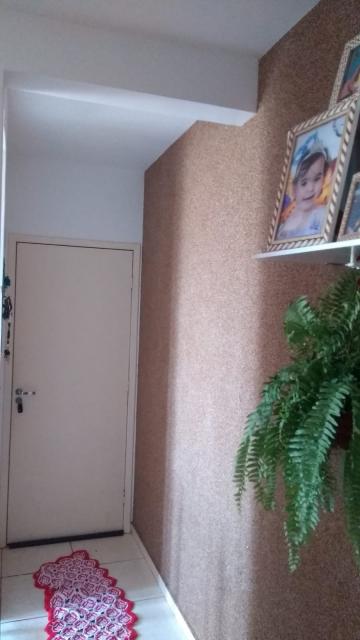 Alugar Apartamento / Padr&atilde;o em S&atilde;o Jos&eacute; do Rio Preto R$ 1.200,00 - Foto 13