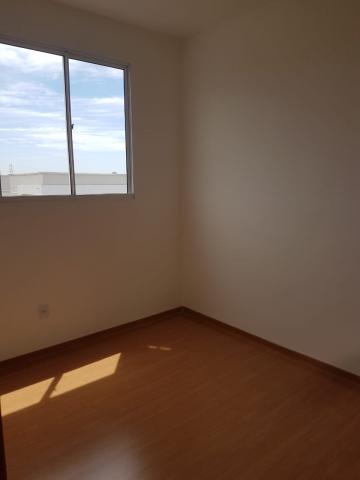Alugar Apartamento / Padr&atilde;o em S&atilde;o Jos&eacute; do Rio Preto R$ 500,00 - Foto 5