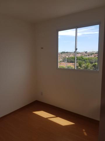 Alugar Apartamento / Padr&atilde;o em S&atilde;o Jos&eacute; do Rio Preto R$ 500,00 - Foto 6