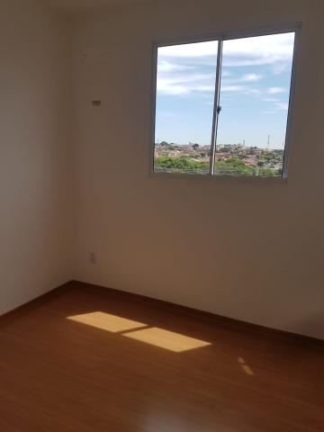 Alugar Apartamento / Padr&atilde;o em S&atilde;o Jos&eacute; do Rio Preto R$ 500,00 - Foto 8