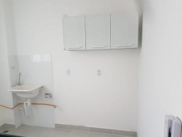 Alugar Apartamento / Padr&atilde;o em S&atilde;o Jos&eacute; do Rio Preto R$ 500,00 - Foto 12