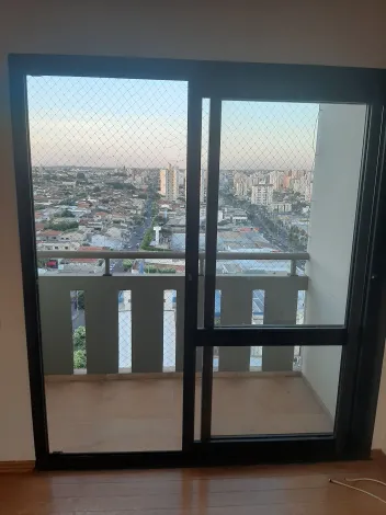 Alugar Apartamento / Cobertura em S&atilde;o Jos&eacute; do Rio Preto R$ 4.900,00 - Foto 7