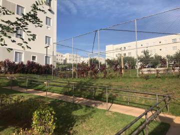 Comprar Apartamento / Padr&atilde;o em S&atilde;o Jos&eacute; do Rio Preto R$ 263.500,00 - Foto 6