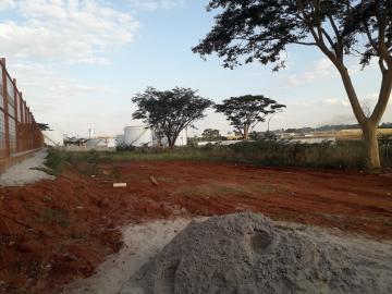 Comprar Terreno / Padr&atilde;o em S&atilde;o Jos&eacute; do Rio Preto R$ 1.200.000,00 - Foto 3