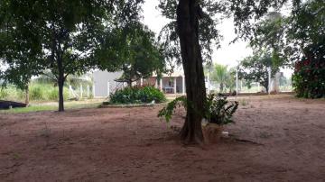 Comprar Rural / S&iacute;tio em S&atilde;o Jos&eacute; do Rio Preto R$ 650.000,00 - Foto 9
