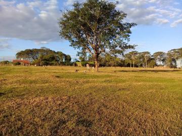 Comprar Rural / S&iacute;tio em S&atilde;o Jos&eacute; do Rio Preto R$ 650.000,00 - Foto 22