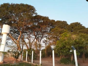 Comprar Rural / S&iacute;tio em S&atilde;o Jos&eacute; do Rio Preto R$ 650.000,00 - Foto 26