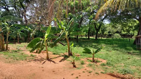 Comprar Rural / S&iacute;tio em S&atilde;o Jos&eacute; do Rio Preto R$ 650.000,00 - Foto 29