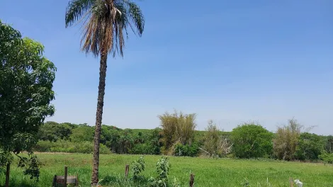 Comprar Rural / S&iacute;tio em S&atilde;o Jos&eacute; do Rio Preto R$ 650.000,00 - Foto 30