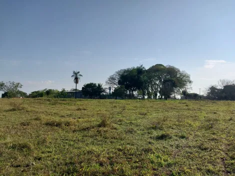 Comprar Rural / S&iacute;tio em S&atilde;o Jos&eacute; do Rio Preto R$ 650.000,00 - Foto 31
