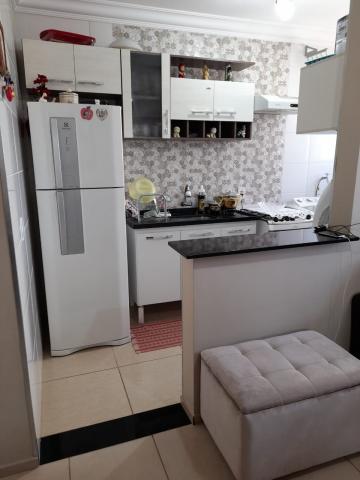 Alugar Apartamento / Padr&atilde;o em S&atilde;o Jos&eacute; do Rio Preto R$ 800,00 - Foto 3