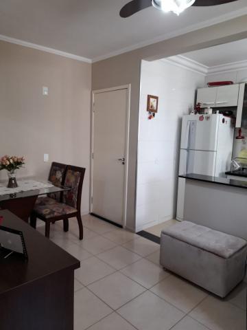 Apartamento / Padr&atilde;o em S&atilde;o Jos&eacute; do Rio Preto 