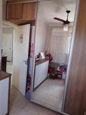 Alugar Apartamento / Padr&atilde;o em S&atilde;o Jos&eacute; do Rio Preto R$ 800,00 - Foto 2