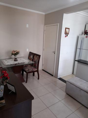 Alugar Apartamento / Padr&atilde;o em S&atilde;o Jos&eacute; do Rio Preto R$ 800,00 - Foto 4