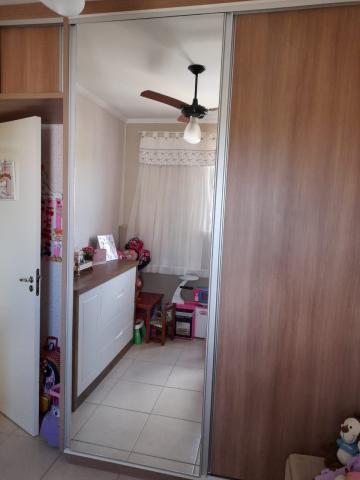 Alugar Apartamento / Padr&atilde;o em S&atilde;o Jos&eacute; do Rio Preto R$ 800,00 - Foto 5