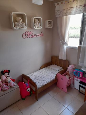 Alugar Apartamento / Padr&atilde;o em S&atilde;o Jos&eacute; do Rio Preto R$ 800,00 - Foto 6