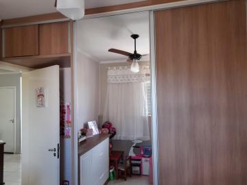 Alugar Apartamento / Padr&atilde;o em S&atilde;o Jos&eacute; do Rio Preto R$ 800,00 - Foto 7