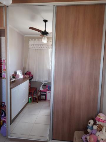 Alugar Apartamento / Padr&atilde;o em S&atilde;o Jos&eacute; do Rio Preto R$ 800,00 - Foto 8
