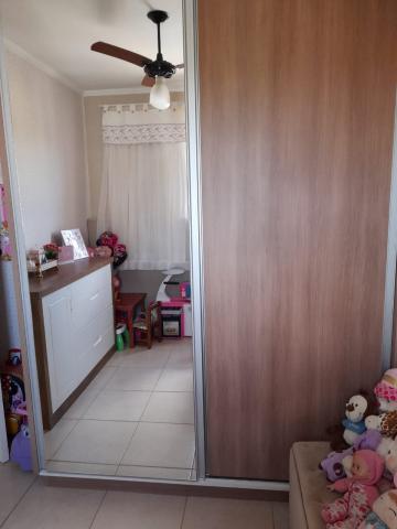 Alugar Apartamento / Padr&atilde;o em S&atilde;o Jos&eacute; do Rio Preto R$ 800,00 - Foto 9