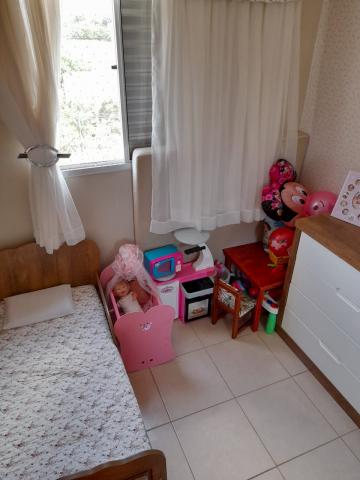 Alugar Apartamento / Padr&atilde;o em S&atilde;o Jos&eacute; do Rio Preto R$ 800,00 - Foto 10
