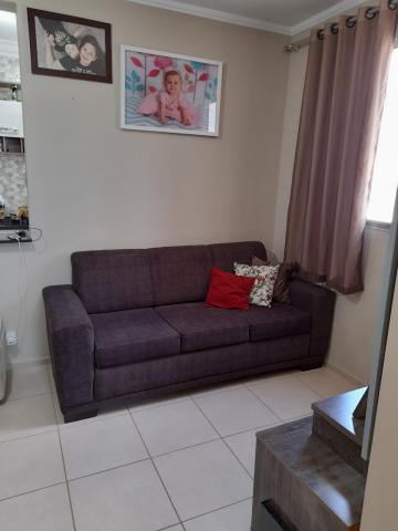 Alugar Apartamento / Padr&atilde;o em S&atilde;o Jos&eacute; do Rio Preto R$ 800,00 - Foto 11