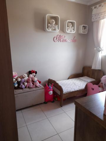 Alugar Apartamento / Padr&atilde;o em S&atilde;o Jos&eacute; do Rio Preto R$ 800,00 - Foto 12