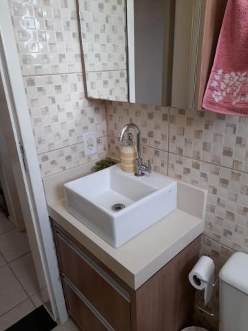 Alugar Apartamento / Padr&atilde;o em S&atilde;o Jos&eacute; do Rio Preto R$ 800,00 - Foto 13