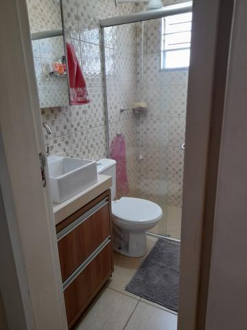 Alugar Apartamento / Padr&atilde;o em S&atilde;o Jos&eacute; do Rio Preto R$ 800,00 - Foto 14