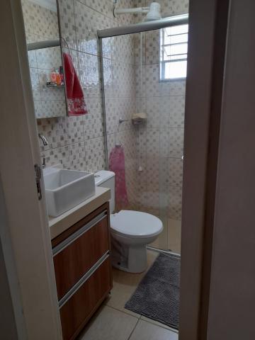 Alugar Apartamento / Padr&atilde;o em S&atilde;o Jos&eacute; do Rio Preto R$ 800,00 - Foto 15