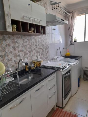 Alugar Apartamento / Padr&atilde;o em S&atilde;o Jos&eacute; do Rio Preto R$ 800,00 - Foto 16
