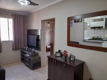 Alugar Apartamento / Padr&atilde;o em S&atilde;o Jos&eacute; do Rio Preto R$ 800,00 - Foto 17