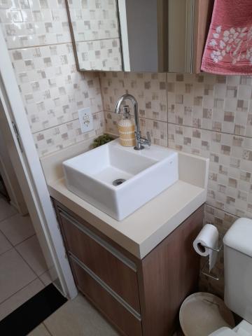 Alugar Apartamento / Padr&atilde;o em S&atilde;o Jos&eacute; do Rio Preto R$ 800,00 - Foto 18