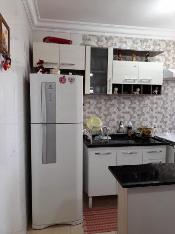 Alugar Apartamento / Padr&atilde;o em S&atilde;o Jos&eacute; do Rio Preto R$ 800,00 - Foto 19