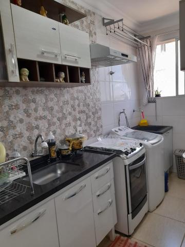Alugar Apartamento / Padr&atilde;o em S&atilde;o Jos&eacute; do Rio Preto R$ 800,00 - Foto 20