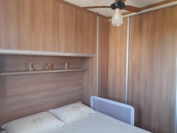 Alugar Apartamento / Padr&atilde;o em S&atilde;o Jos&eacute; do Rio Preto R$ 800,00 - Foto 21