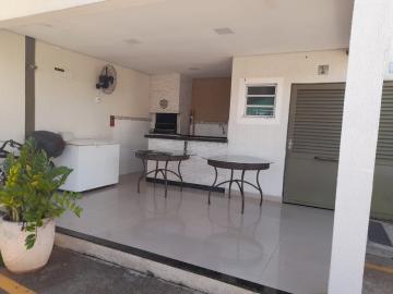 Alugar Apartamento / Padr&atilde;o em S&atilde;o Jos&eacute; do Rio Preto R$ 800,00 - Foto 24