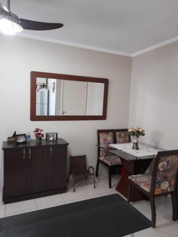 Alugar Apartamento / Padr&atilde;o em S&atilde;o Jos&eacute; do Rio Preto R$ 800,00 - Foto 22