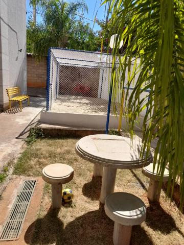 Alugar Apartamento / Padr&atilde;o em S&atilde;o Jos&eacute; do Rio Preto R$ 800,00 - Foto 25