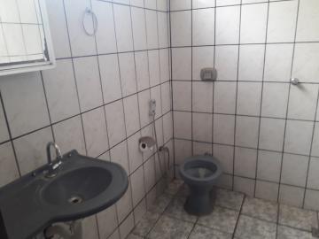 Alugar Casa / Padr&atilde;o em S&atilde;o Jos&eacute; do Rio Preto R$ 1.200,00 - Foto 8